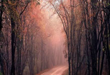 天涯社区何开通：互联网怀旧版老友记