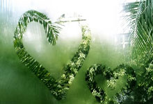 天涯社区上的瘦身秘籍，你能人设完美吗？