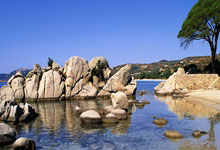 天涯社区何开通：互联网怀旧版老友记